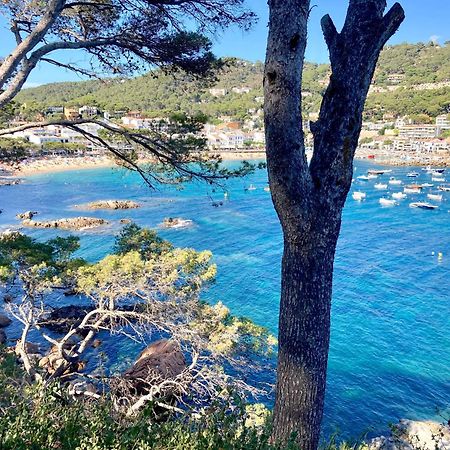 Apartment 1Llad01 - Llafranc Calella De Palafrugell Eksteriør billede