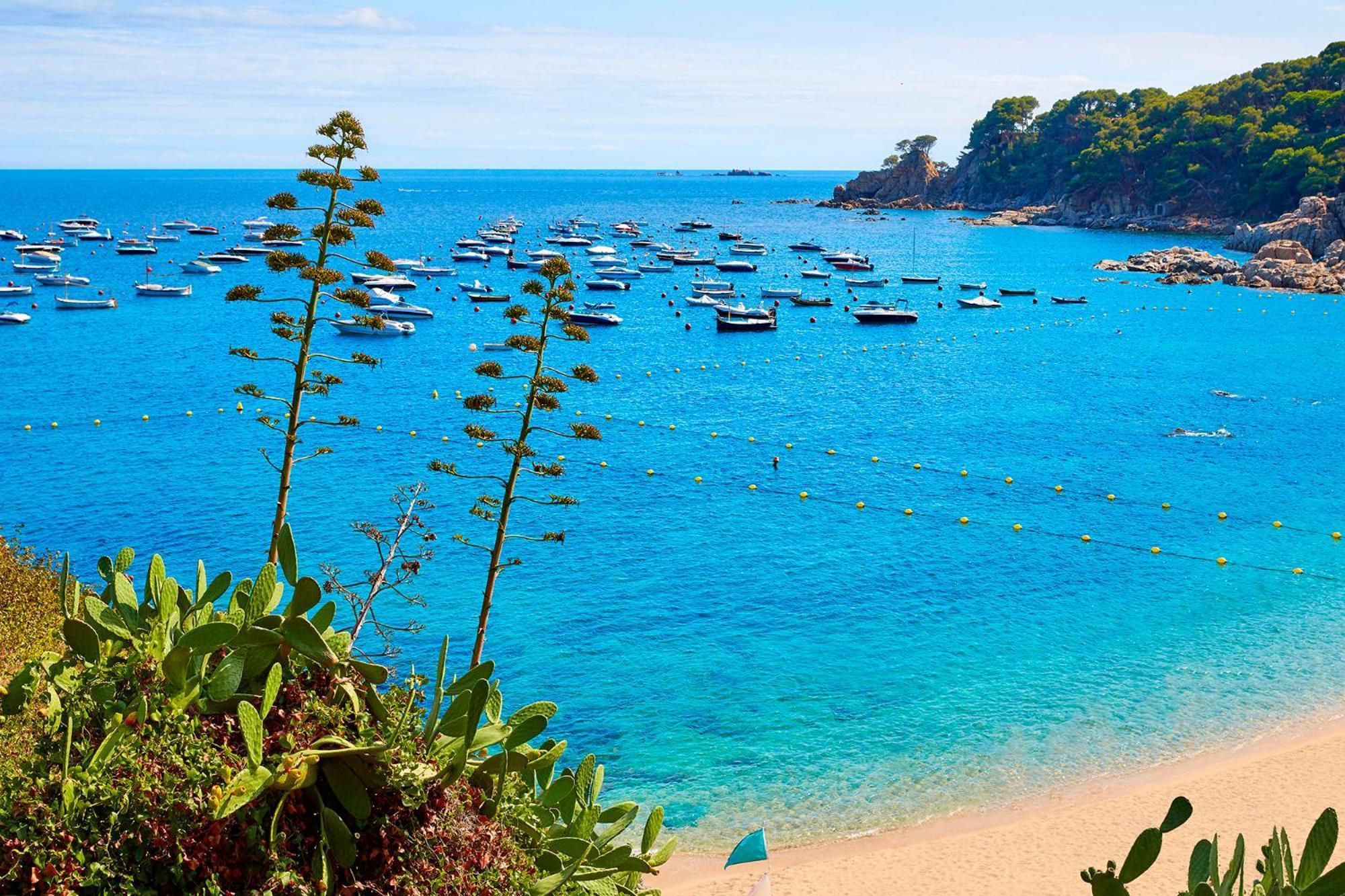 Apartment 1Llad01 - Llafranc Calella De Palafrugell Eksteriør billede