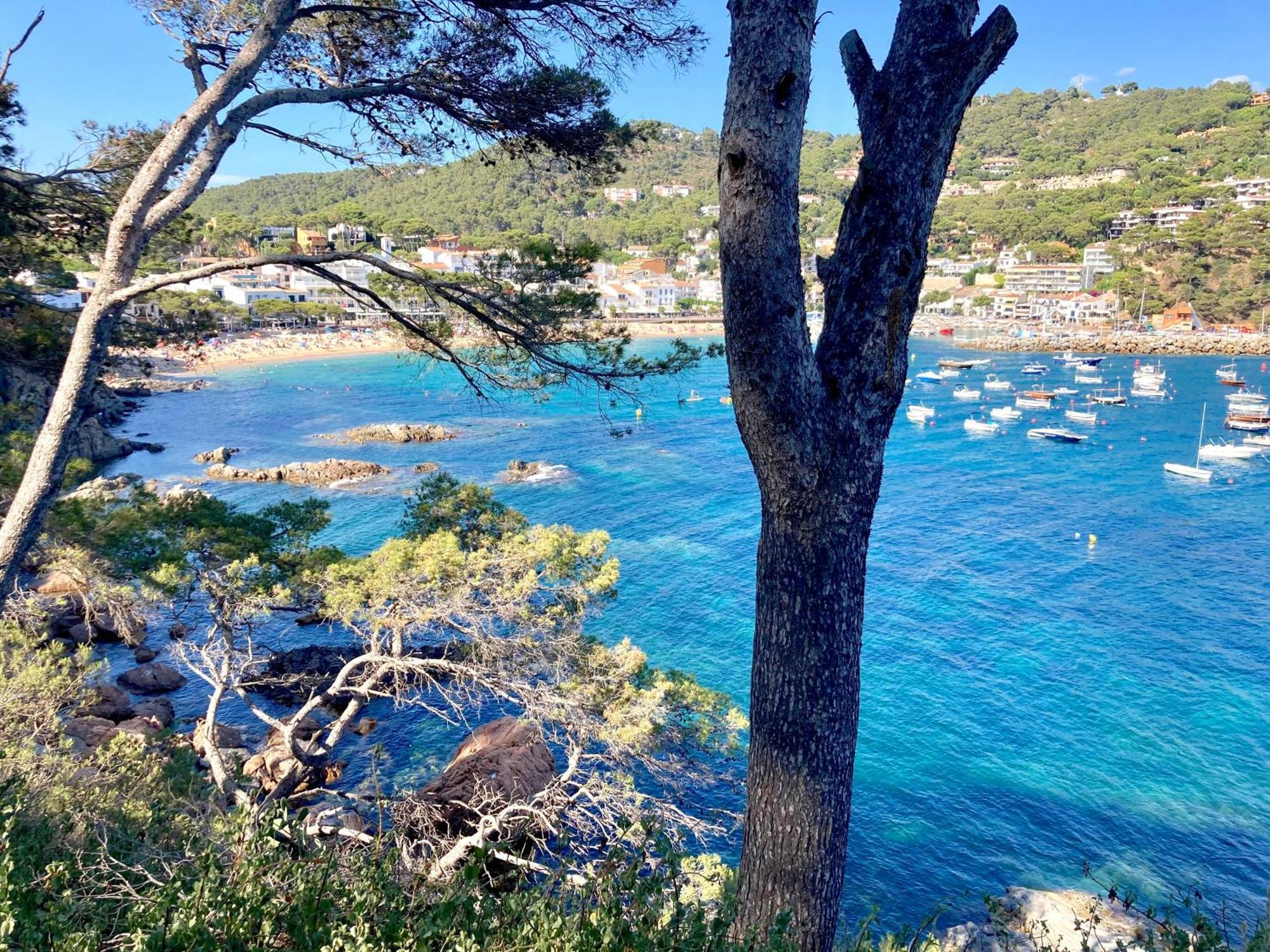 Apartment 1Llad01 - Llafranc Calella De Palafrugell Eksteriør billede