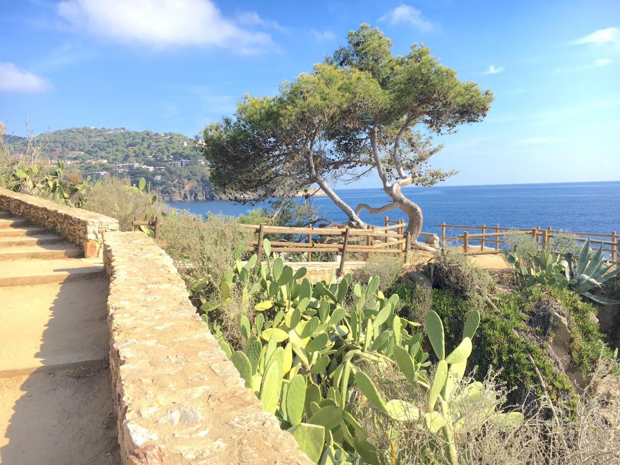 Apartment 1Llad01 - Llafranc Calella De Palafrugell Eksteriør billede