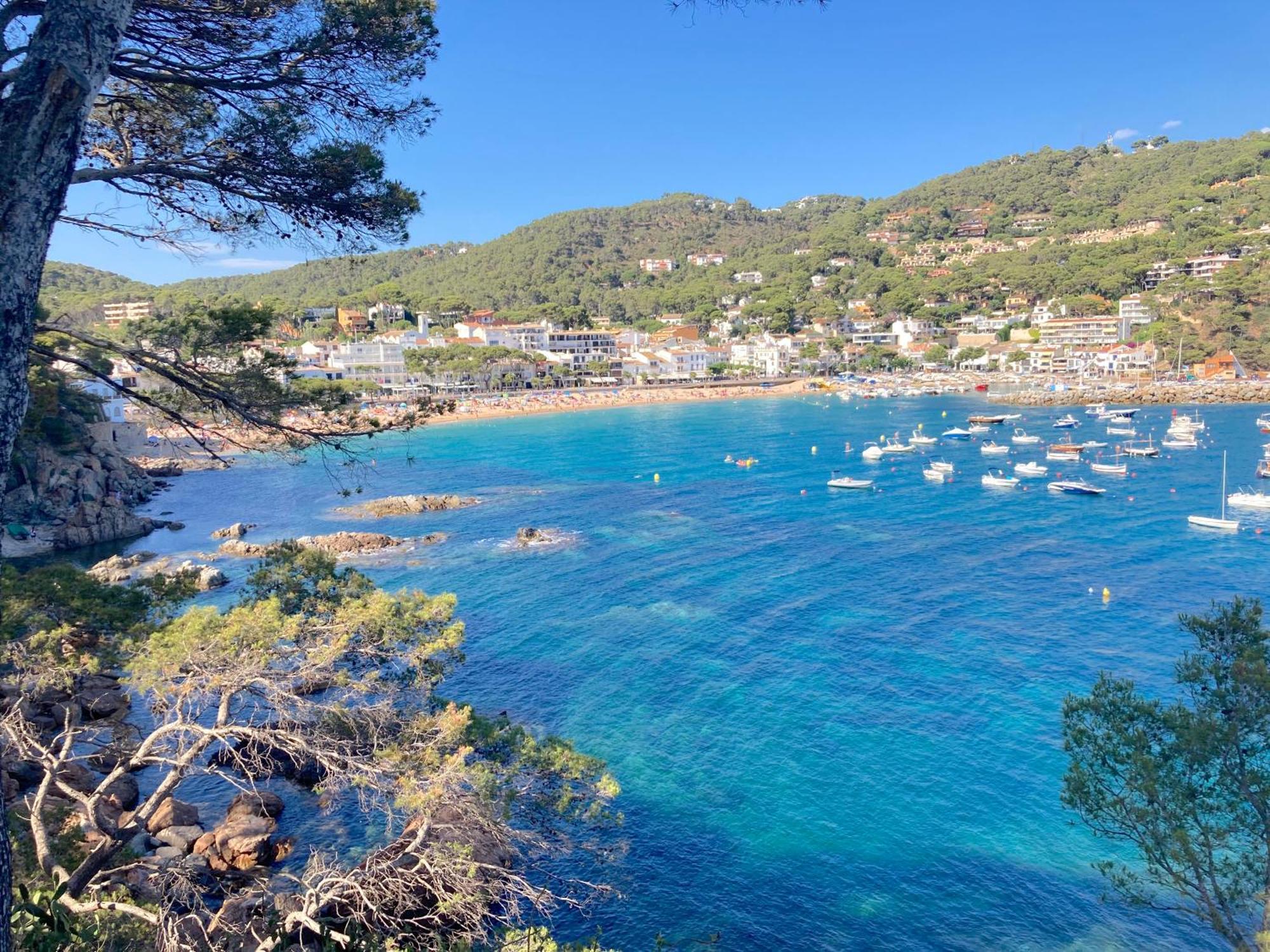 Apartment 1Llad01 - Llafranc Calella De Palafrugell Eksteriør billede
